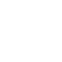 Team RMS logo